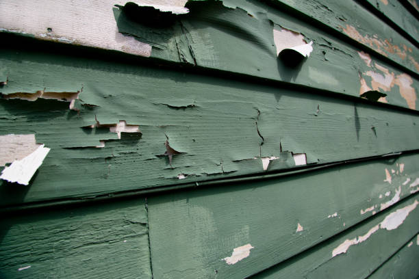 Best Property Management Cleanouts  in Four Corners, MT